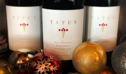 2015 Zinfandel 1.5L 3-pack