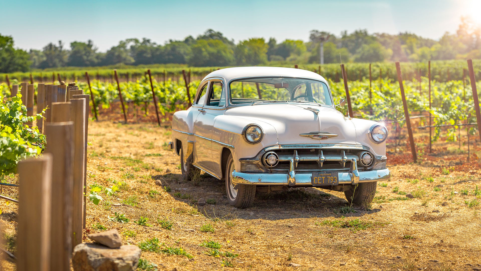 1953 Chevy Bel Air Titus Vineyards 