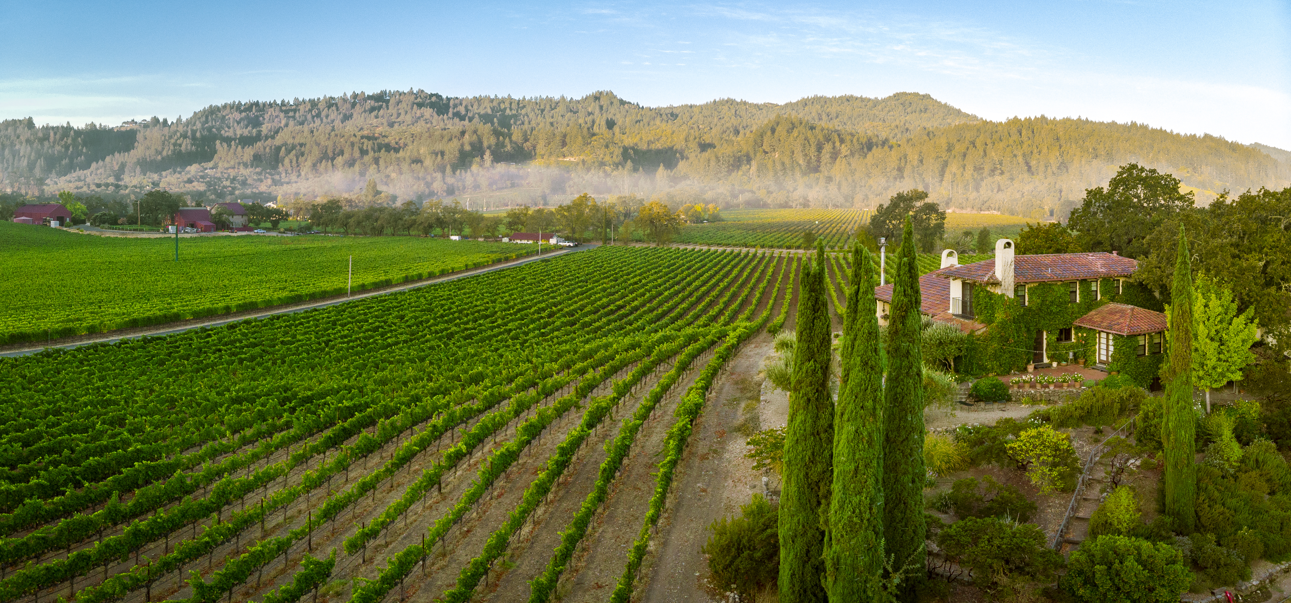 Vineyard, Garden, and Mountains