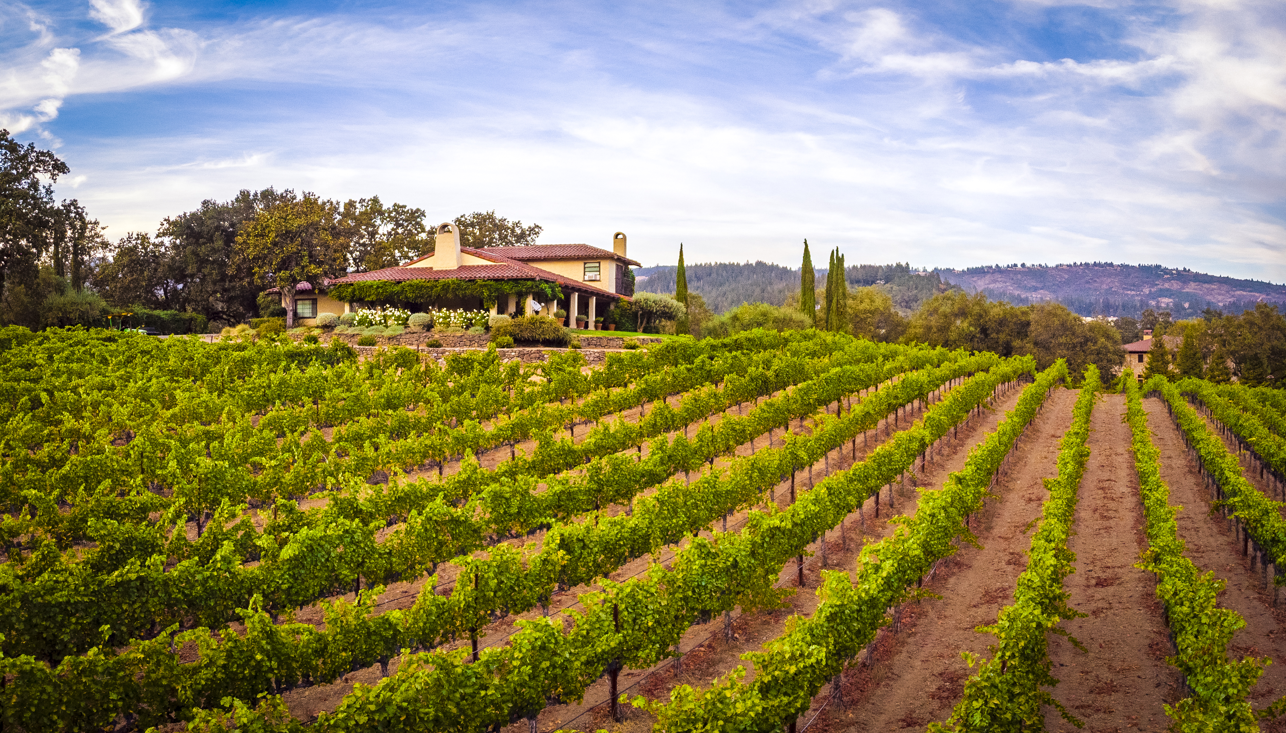 Estate and Vineyard, Ehlers Lane