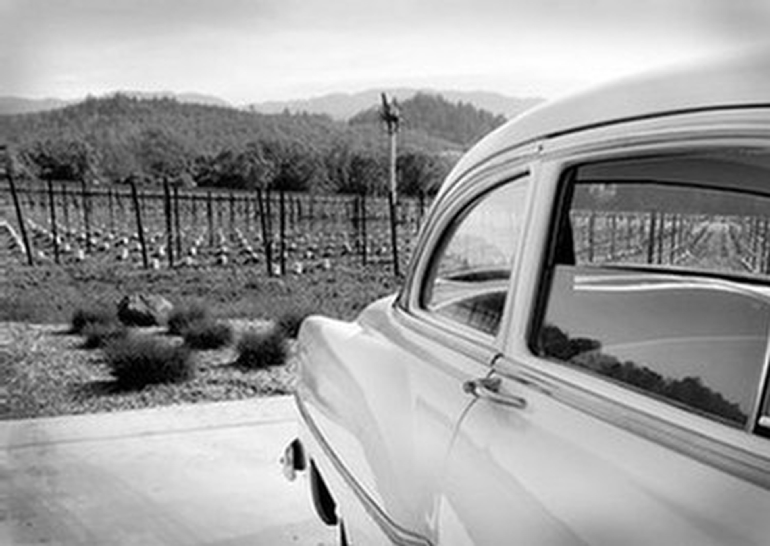 Classic Car, Napa Valley