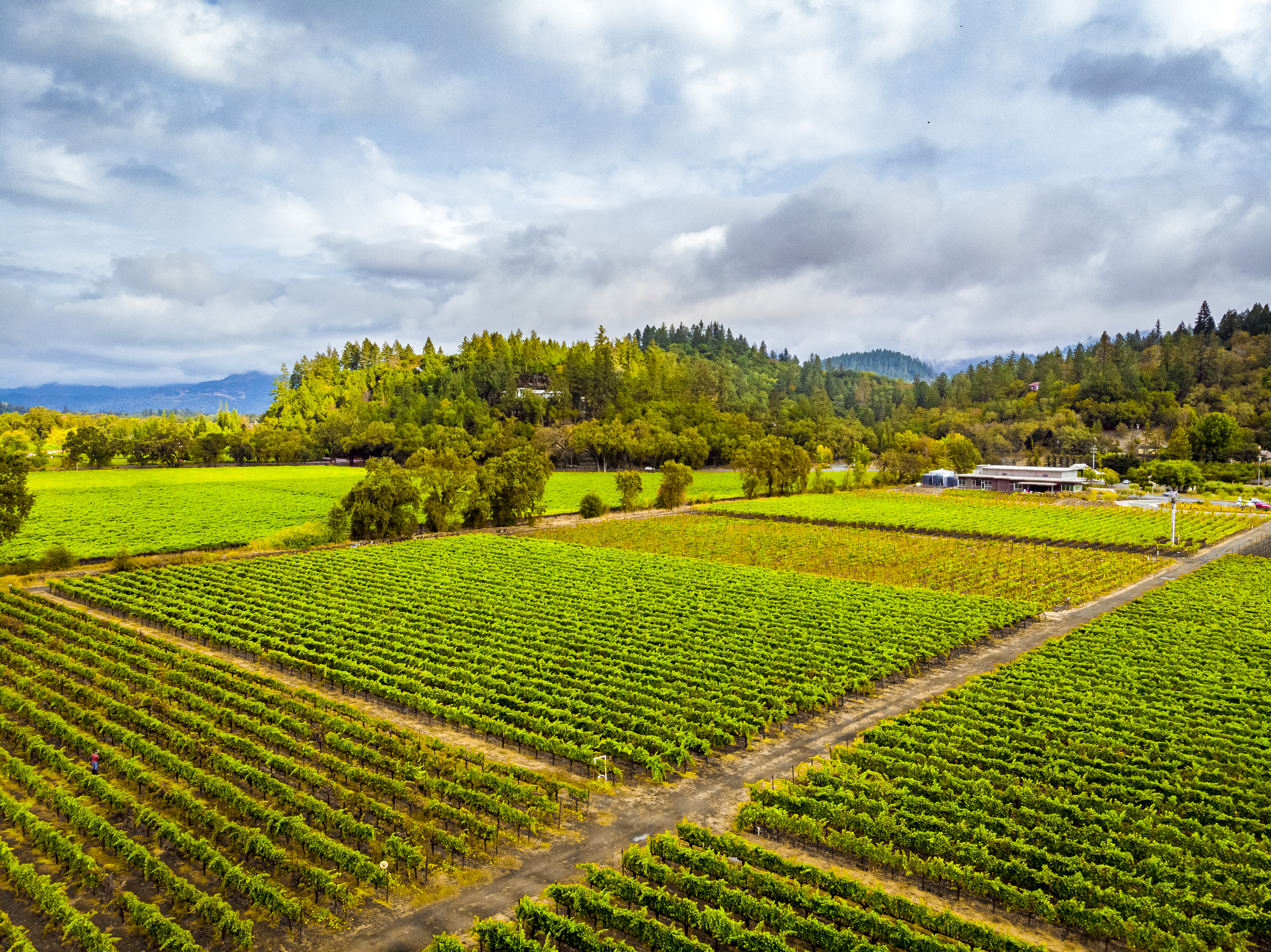 Titus Vineyards Ranch Estate