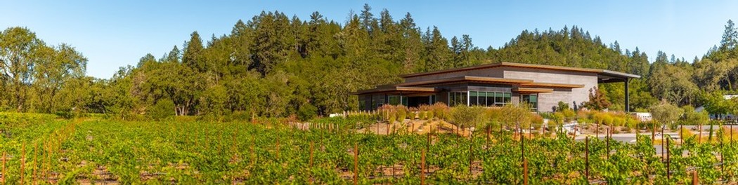 Distance Tasting Room and Vineyard