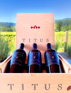 3 Bottles 2019 Reserve Cabernet with Wood Box
