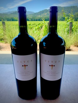 2016 Cabernet Sauvignon Magnum 2-Pack
