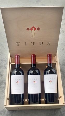 6 btl Merlot Vertical Box