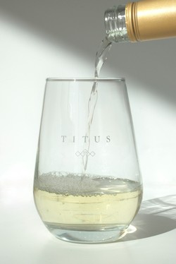 Titus Stemless Glass