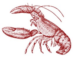 Lobster Boil Ticket 2023